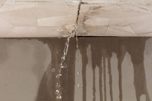Professional Water Damage Repair technician working in Laurier, WA